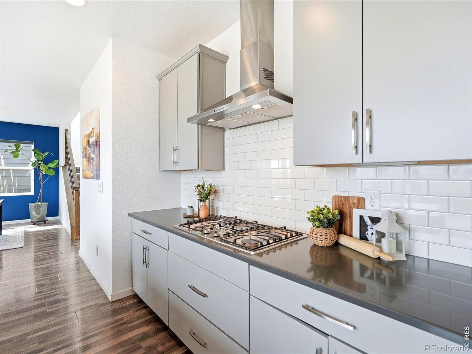 MLS Image #27 for 17464  olive street,broomfield, Colorado