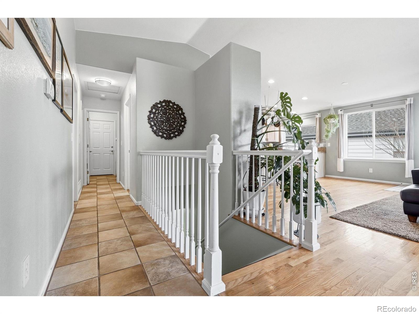 MLS Image #11 for 1761  holeman drive,erie, Colorado