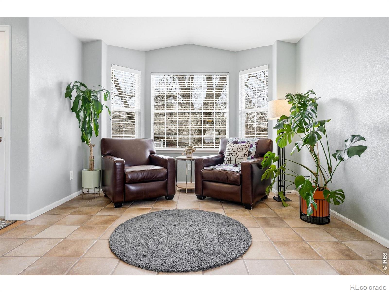MLS Image #3 for 1761  holeman drive,erie, Colorado