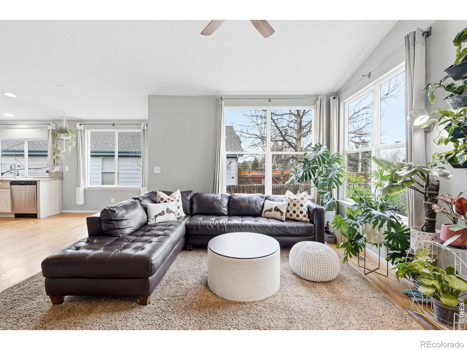 MLS Image #4 for 1761  holeman drive,erie, Colorado