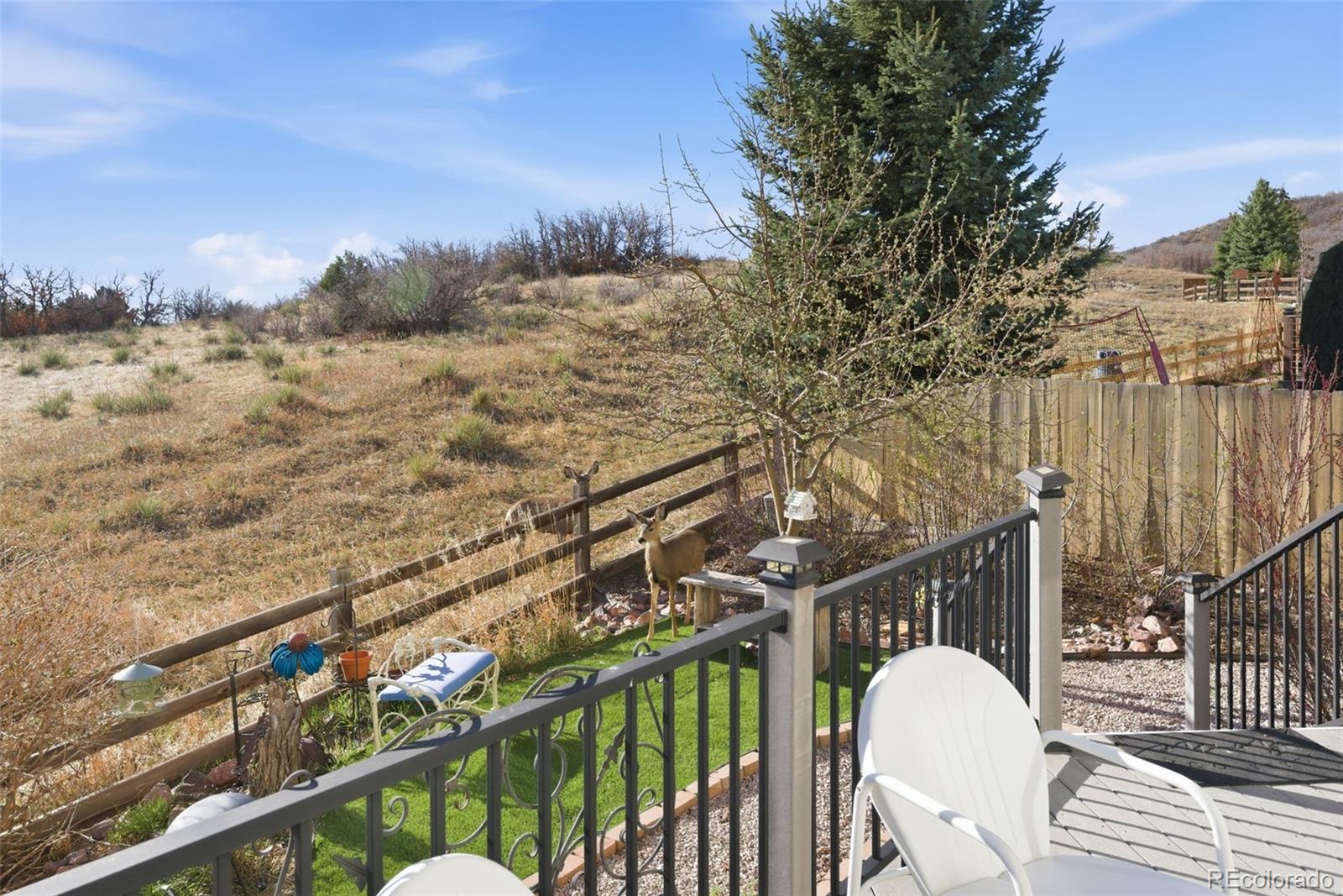 MLS Image #31 for 1689  granger circle,castle rock, Colorado