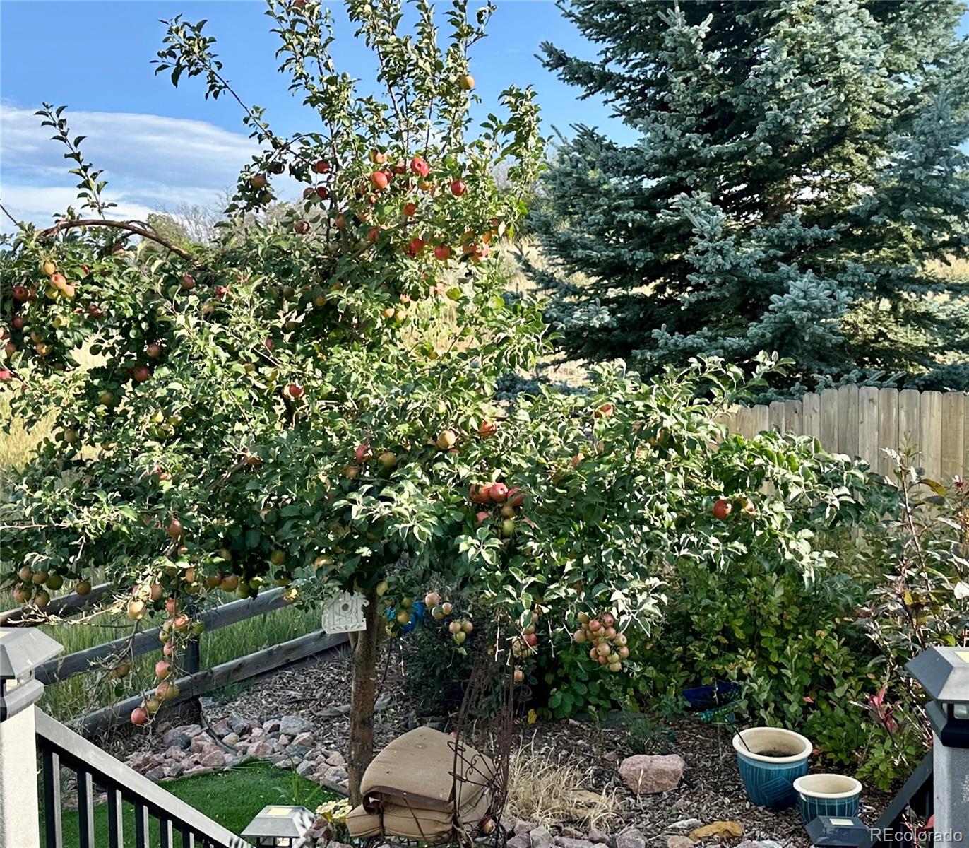 MLS Image #38 for 1689  granger circle,castle rock, Colorado