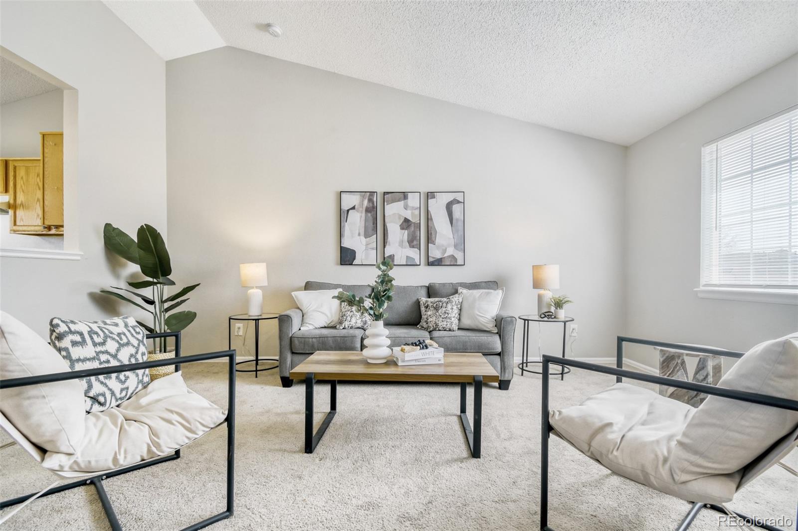 MLS Image #4 for 12950  hudson street,thornton, Colorado
