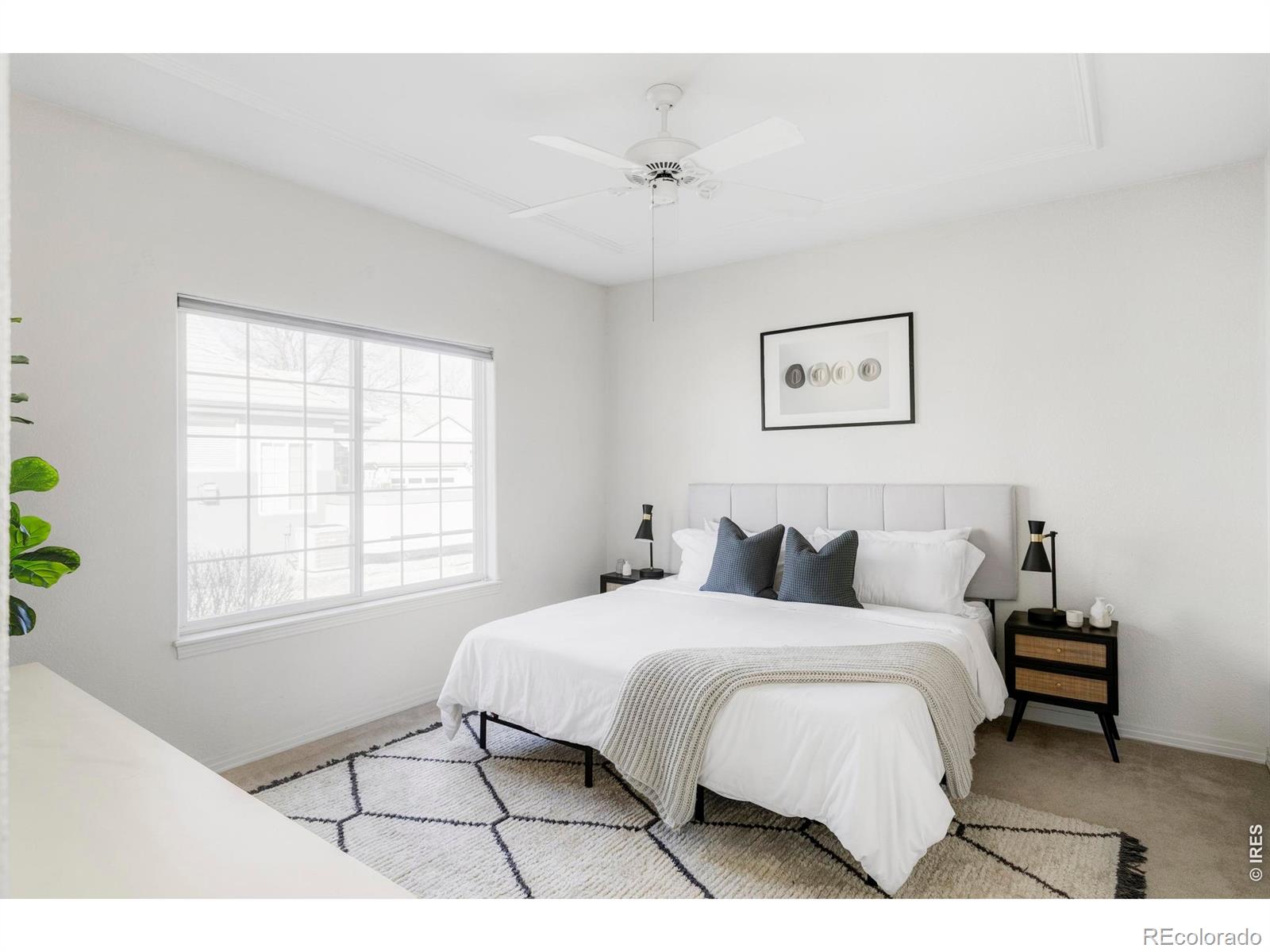 MLS Image #15 for 3804  florentine circle,longmont, Colorado