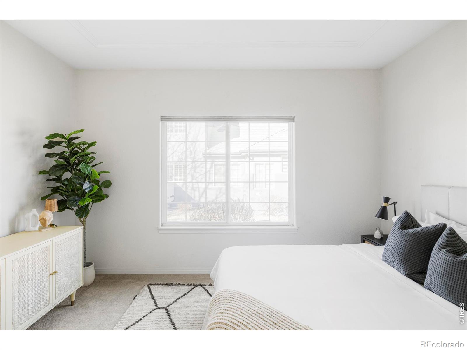 MLS Image #16 for 3804  florentine circle,longmont, Colorado