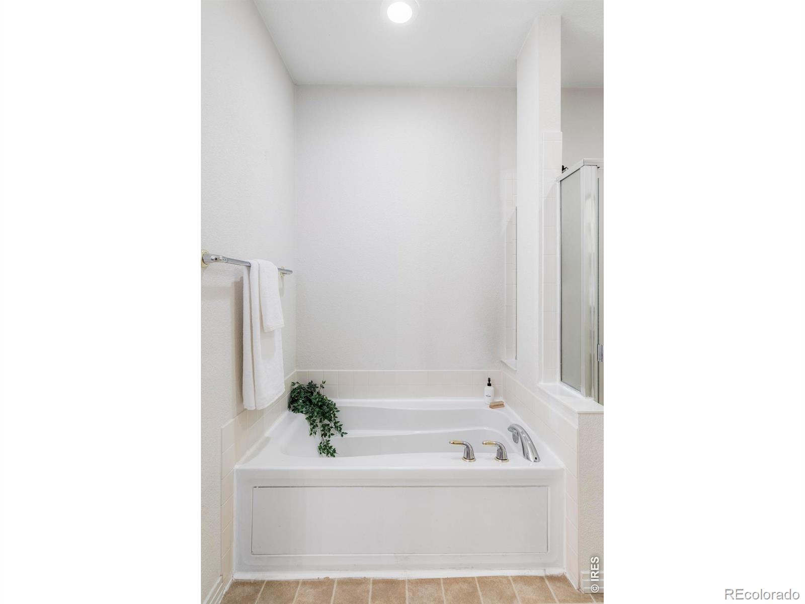 MLS Image #19 for 3804  florentine circle,longmont, Colorado