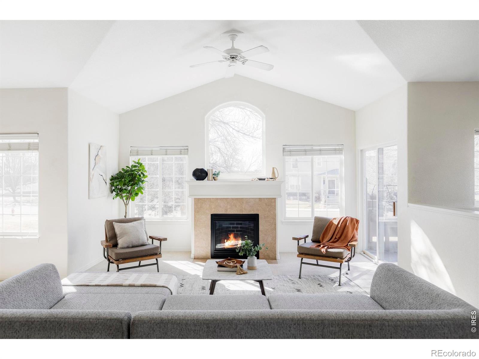 MLS Image #3 for 3804  florentine circle,longmont, Colorado