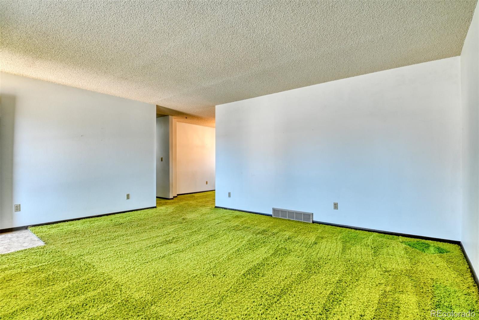 MLS Image #4 for 3945  bunk house drive,colorado springs, Colorado