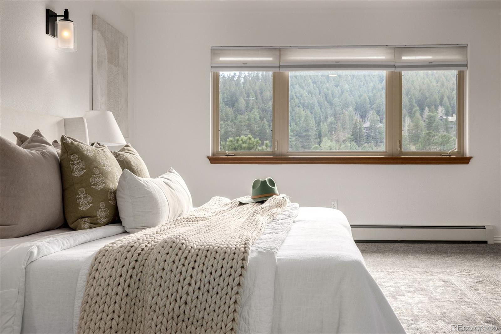 MLS Image #29 for 30415  telluride lane,evergreen, Colorado