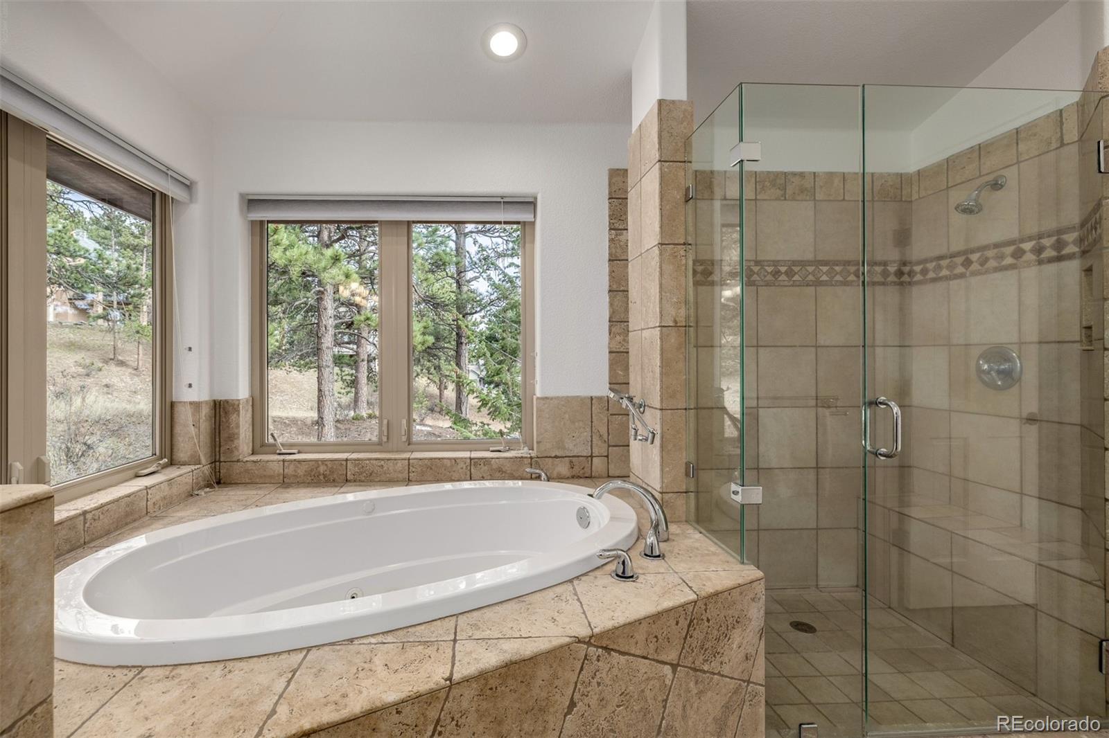 MLS Image #31 for 30415  telluride lane,evergreen, Colorado