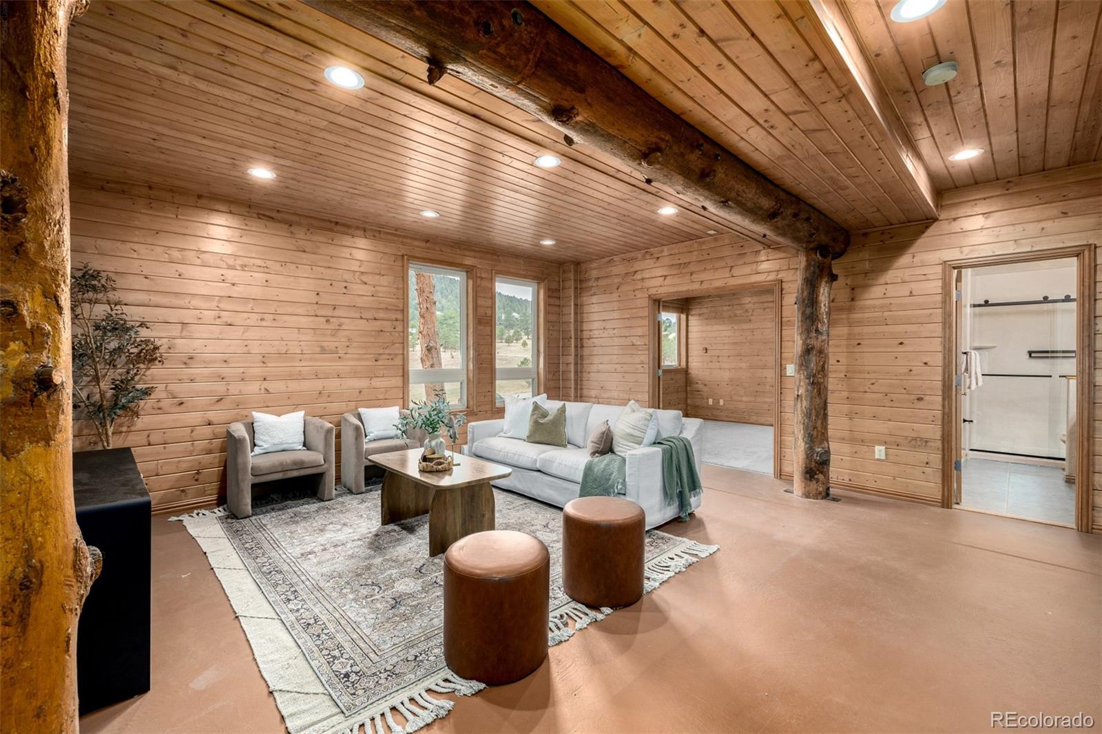 MLS Image #39 for 30415  telluride lane,evergreen, Colorado