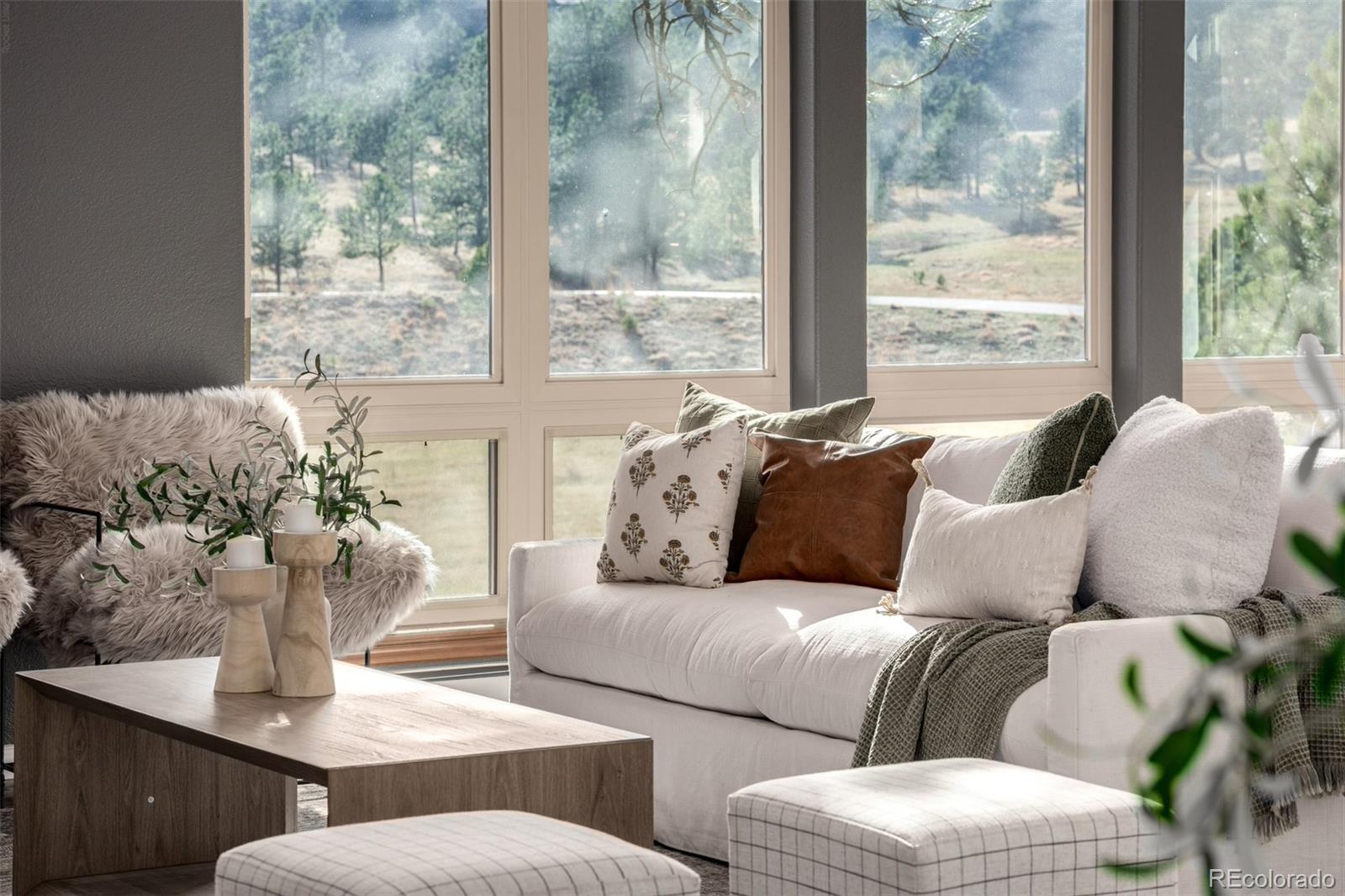 MLS Image #6 for 30415  telluride lane,evergreen, Colorado