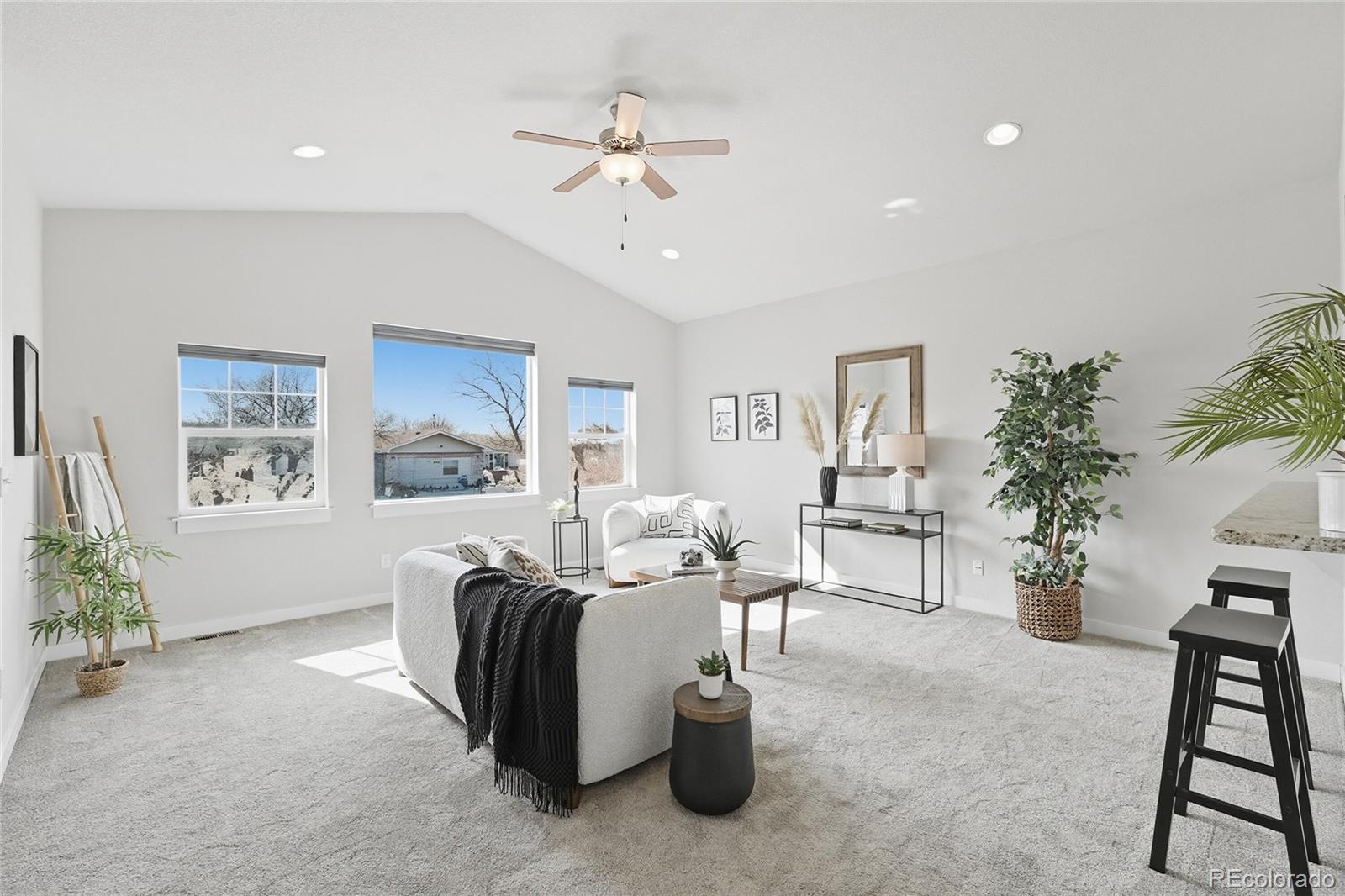 MLS Image #5 for 218 e chestnut street,windsor, Colorado