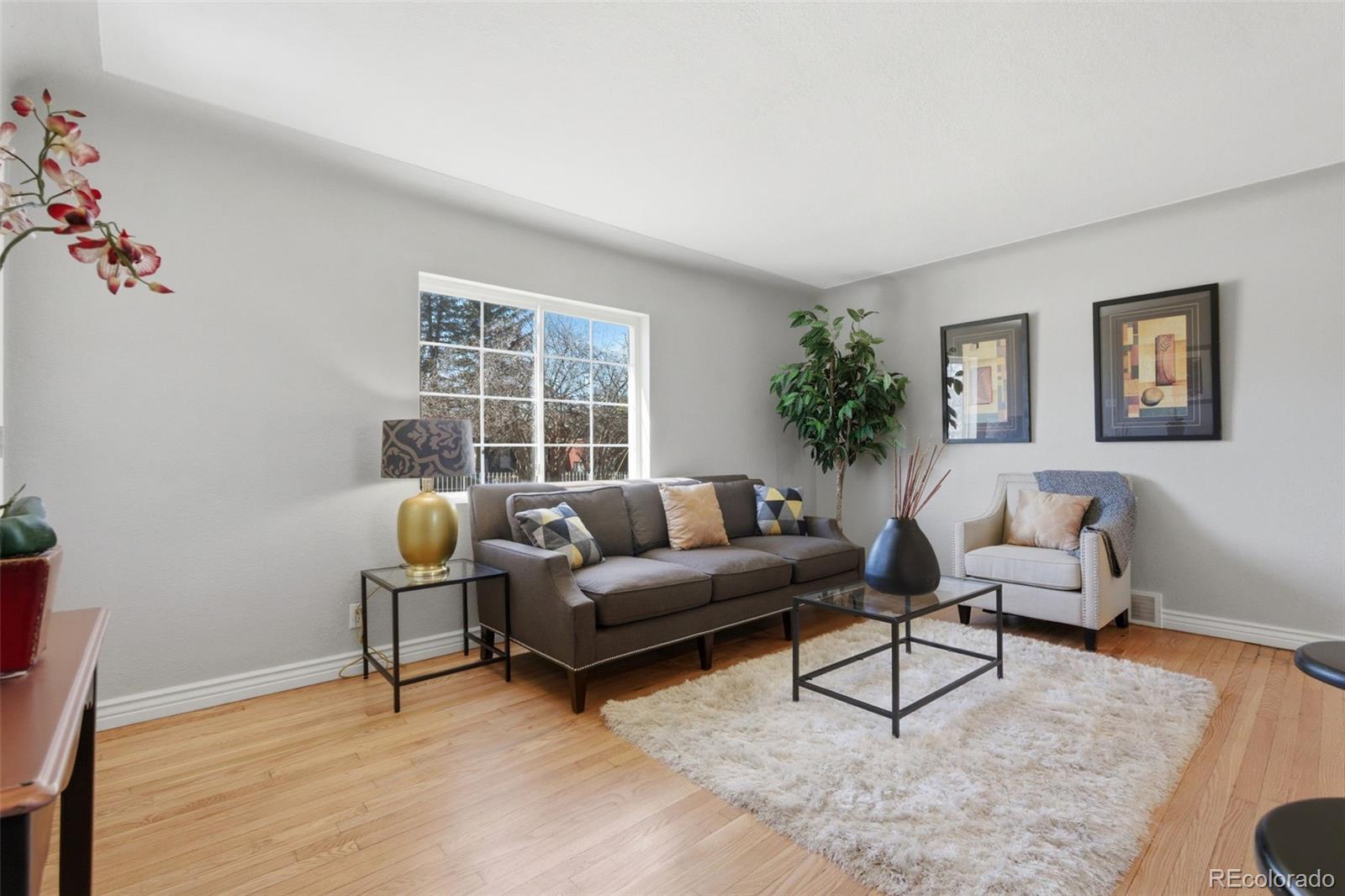 MLS Image #22 for 1372  lima street,aurora, Colorado