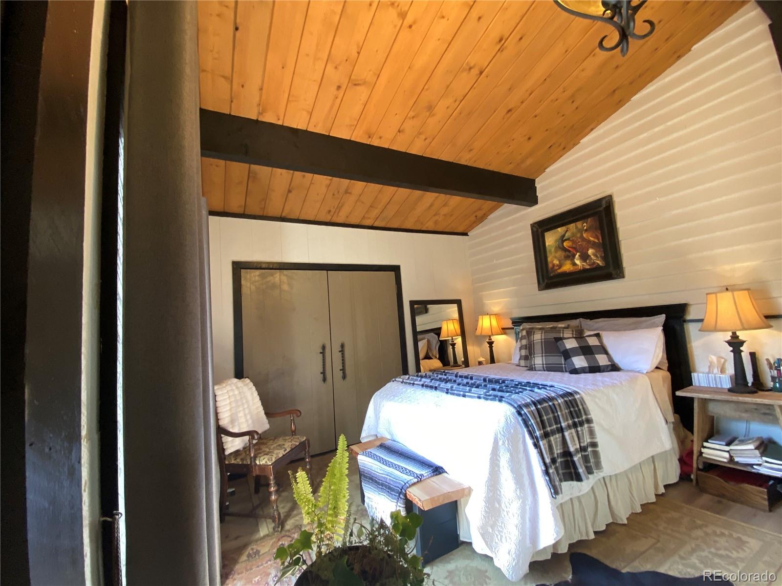 MLS Image #16 for 16165  burt gulch road,buena vista, Colorado
