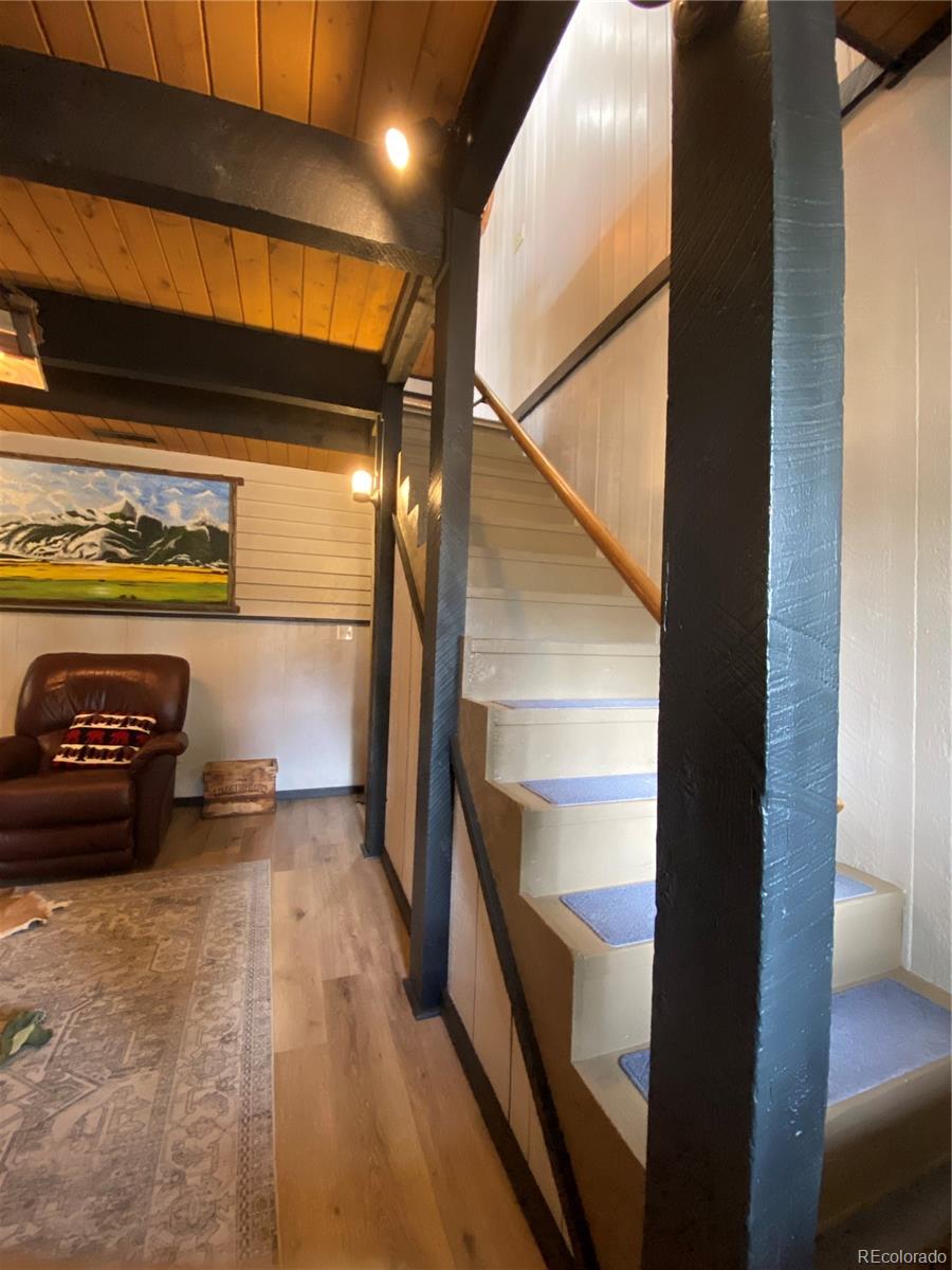 MLS Image #21 for 16165  burt gulch road,buena vista, Colorado