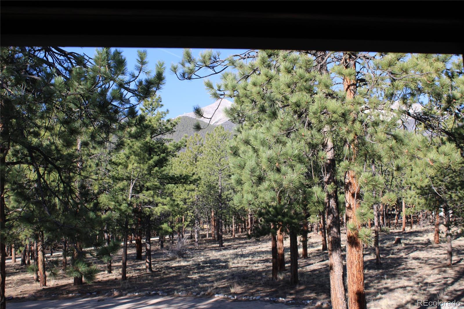 MLS Image #34 for 16165  burt gulch road,buena vista, Colorado