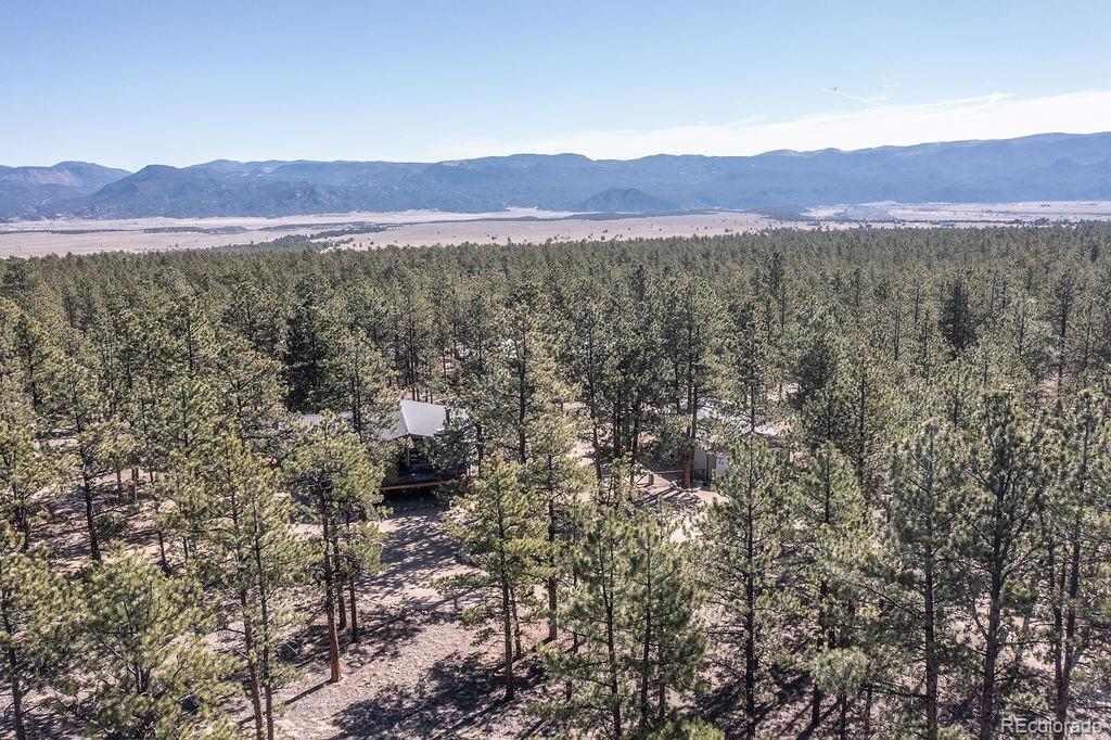 MLS Image #5 for 16165  burt gulch road,buena vista, Colorado