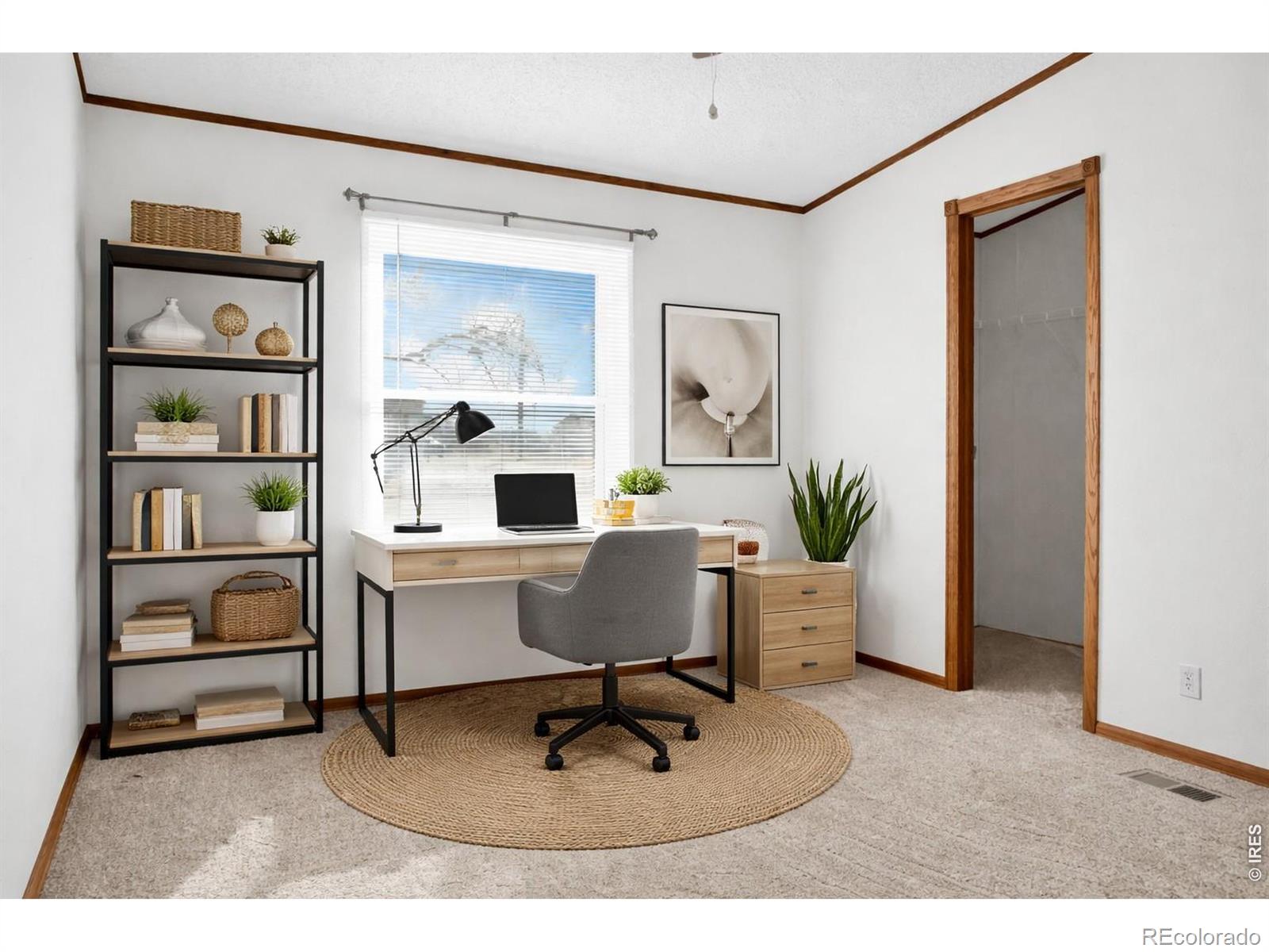MLS Image #10 for 215 n 2nd street,iliff, Colorado
