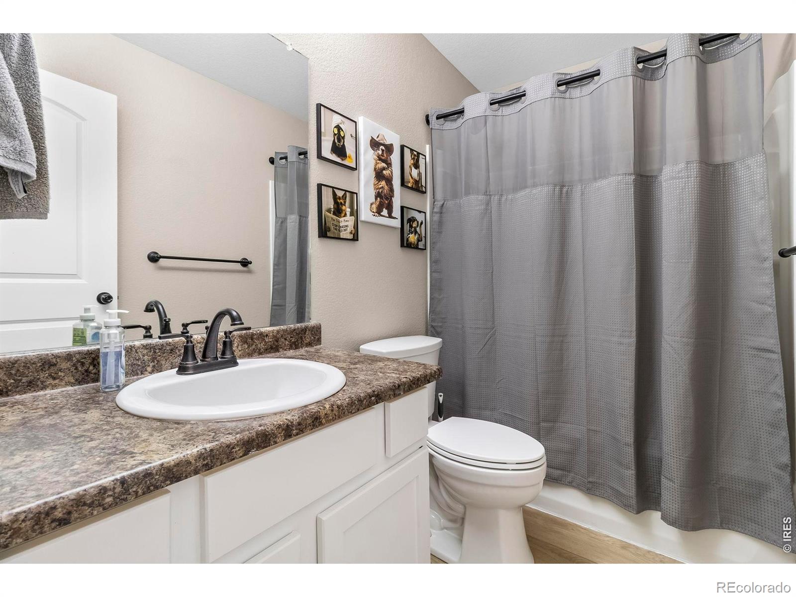 MLS Image #12 for 1008  axis drive,severance, Colorado