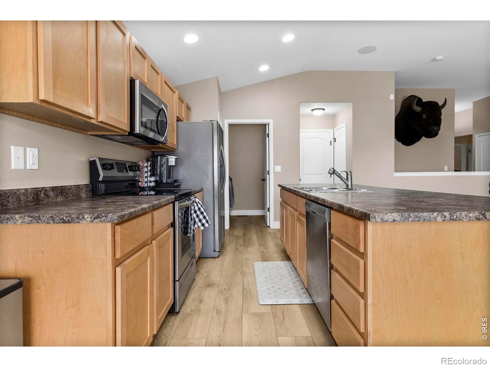 MLS Image #7 for 1008  axis drive,severance, Colorado