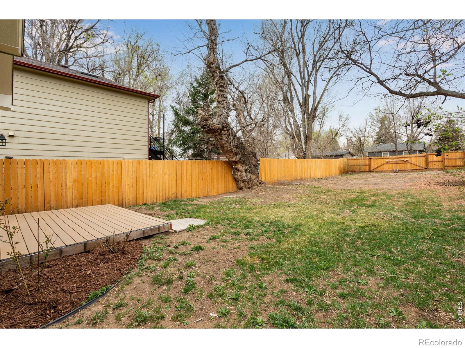 MLS Image #8 for 615  maple street,fort collins, Colorado