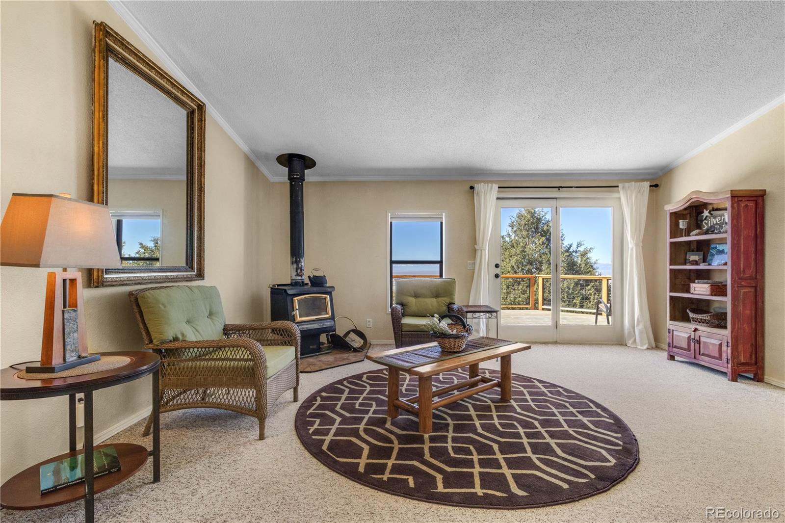 MLS Image #10 for 557  panorama way,crestone, Colorado