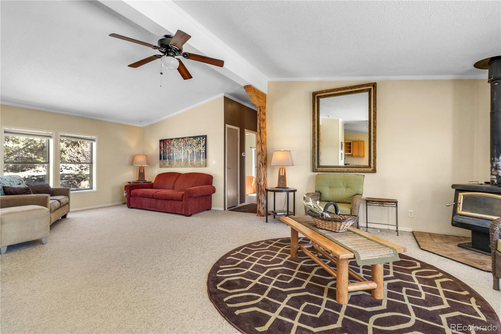 MLS Image #14 for 557  panorama way,crestone, Colorado