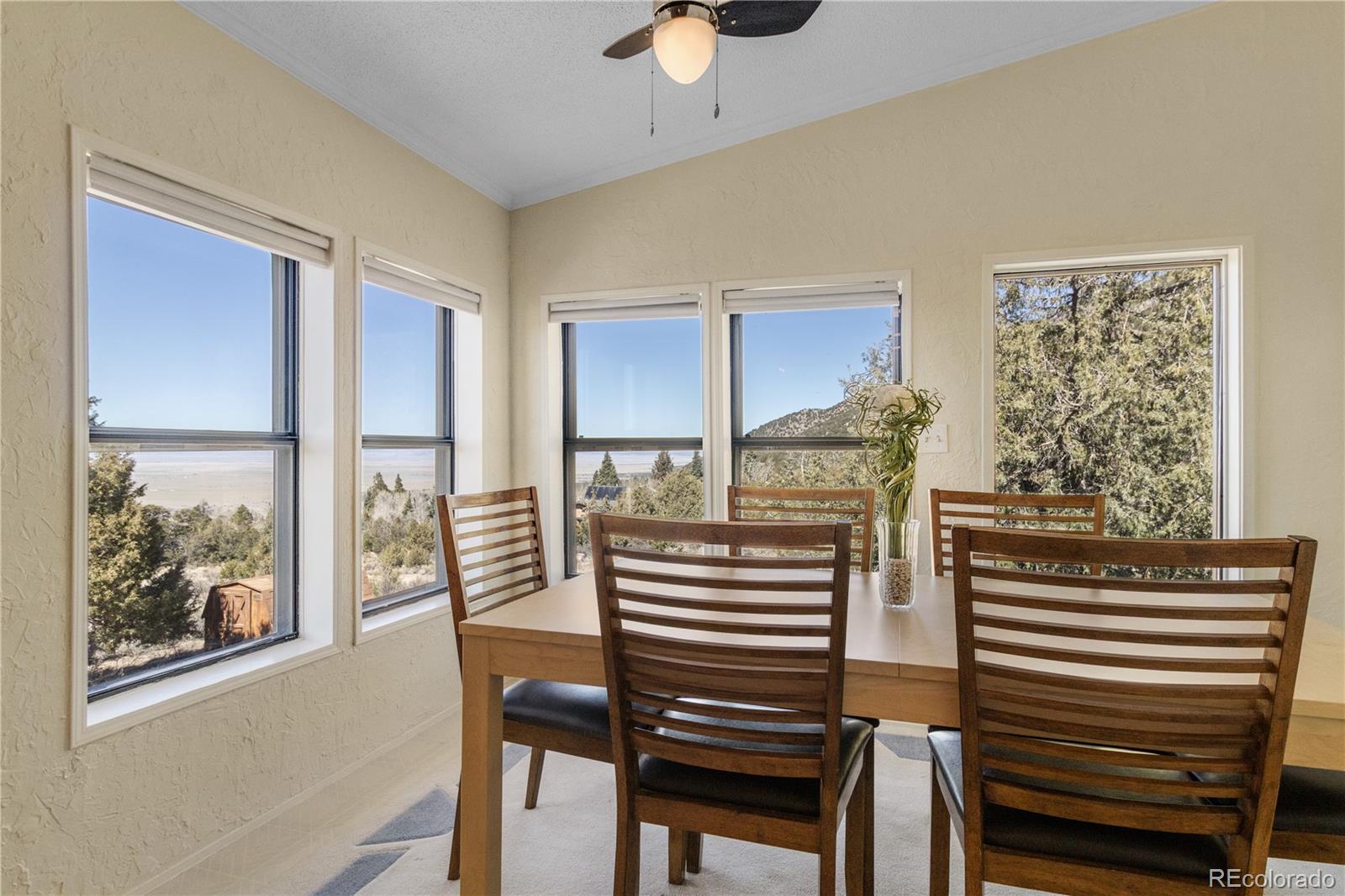 MLS Image #19 for 557  panorama way,crestone, Colorado