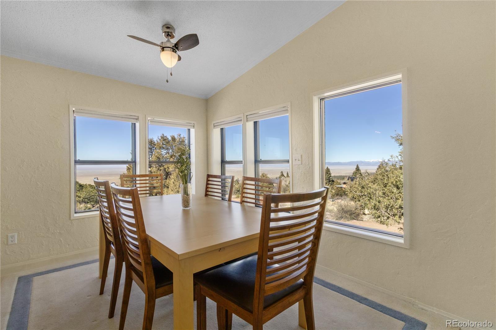 MLS Image #20 for 557  panorama way,crestone, Colorado