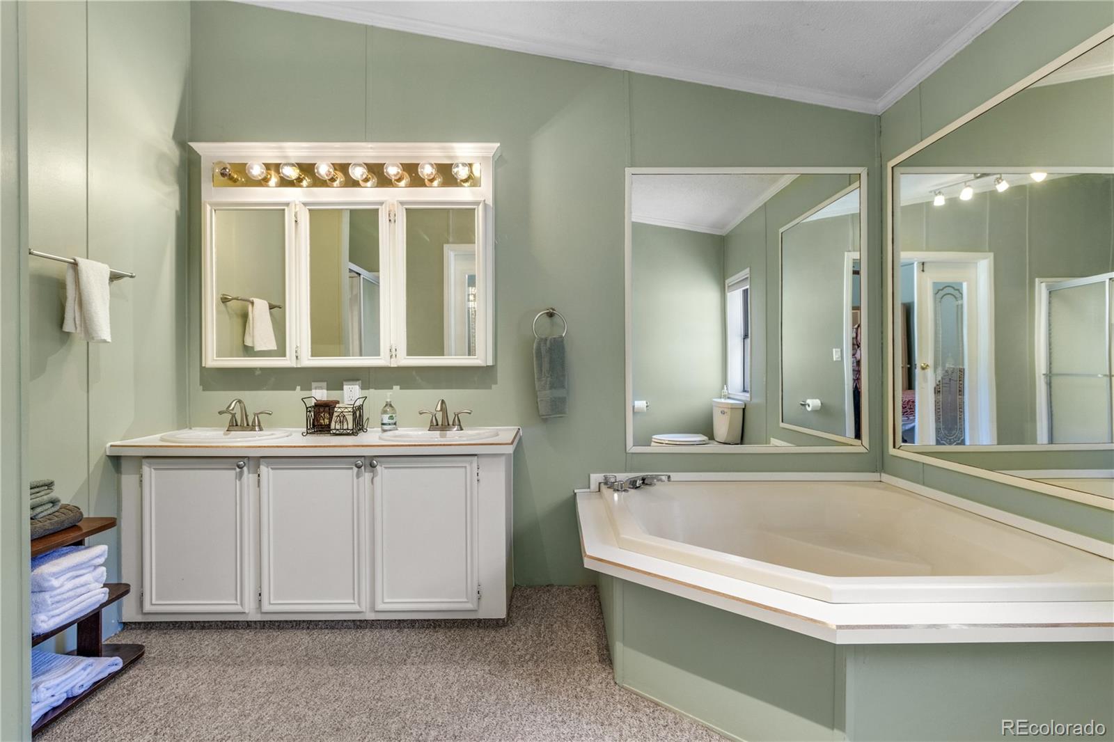 MLS Image #23 for 557  panorama way,crestone, Colorado