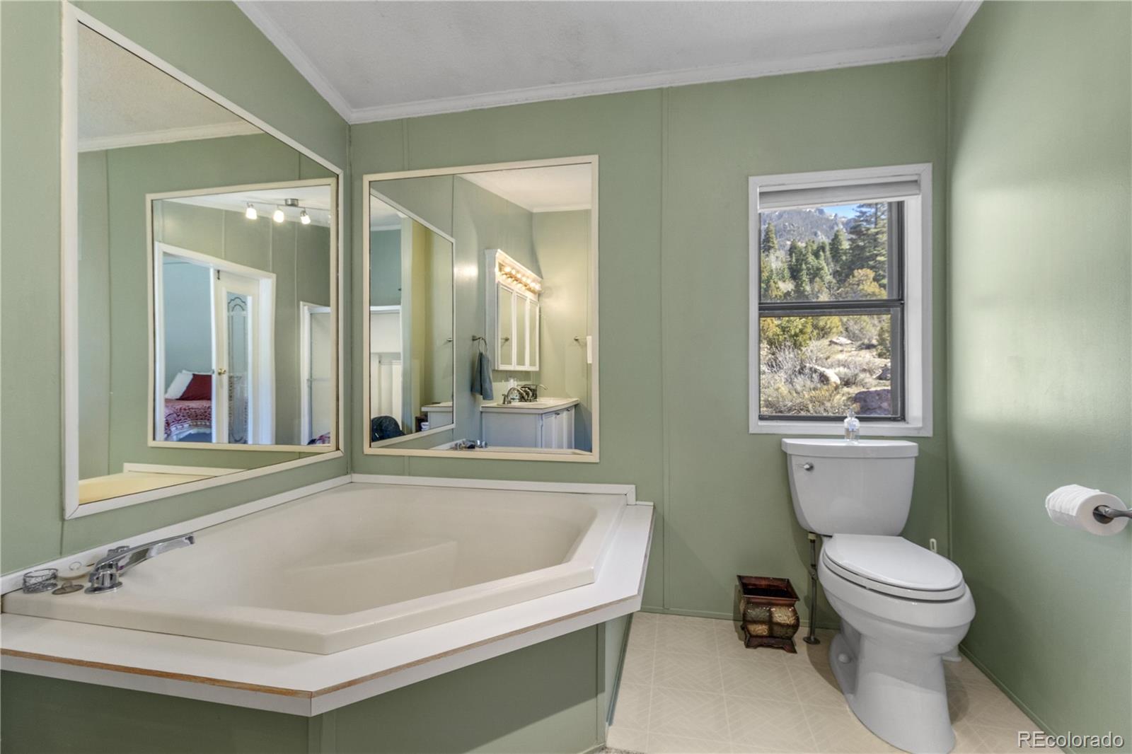 MLS Image #24 for 557  panorama way,crestone, Colorado
