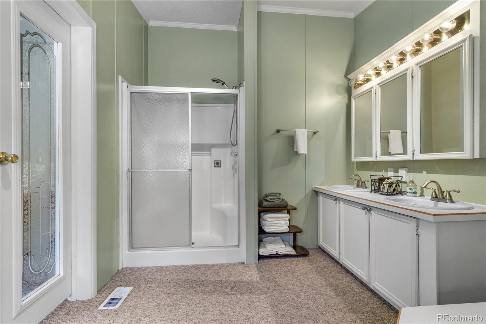 MLS Image #25 for 557  panorama way,crestone, Colorado