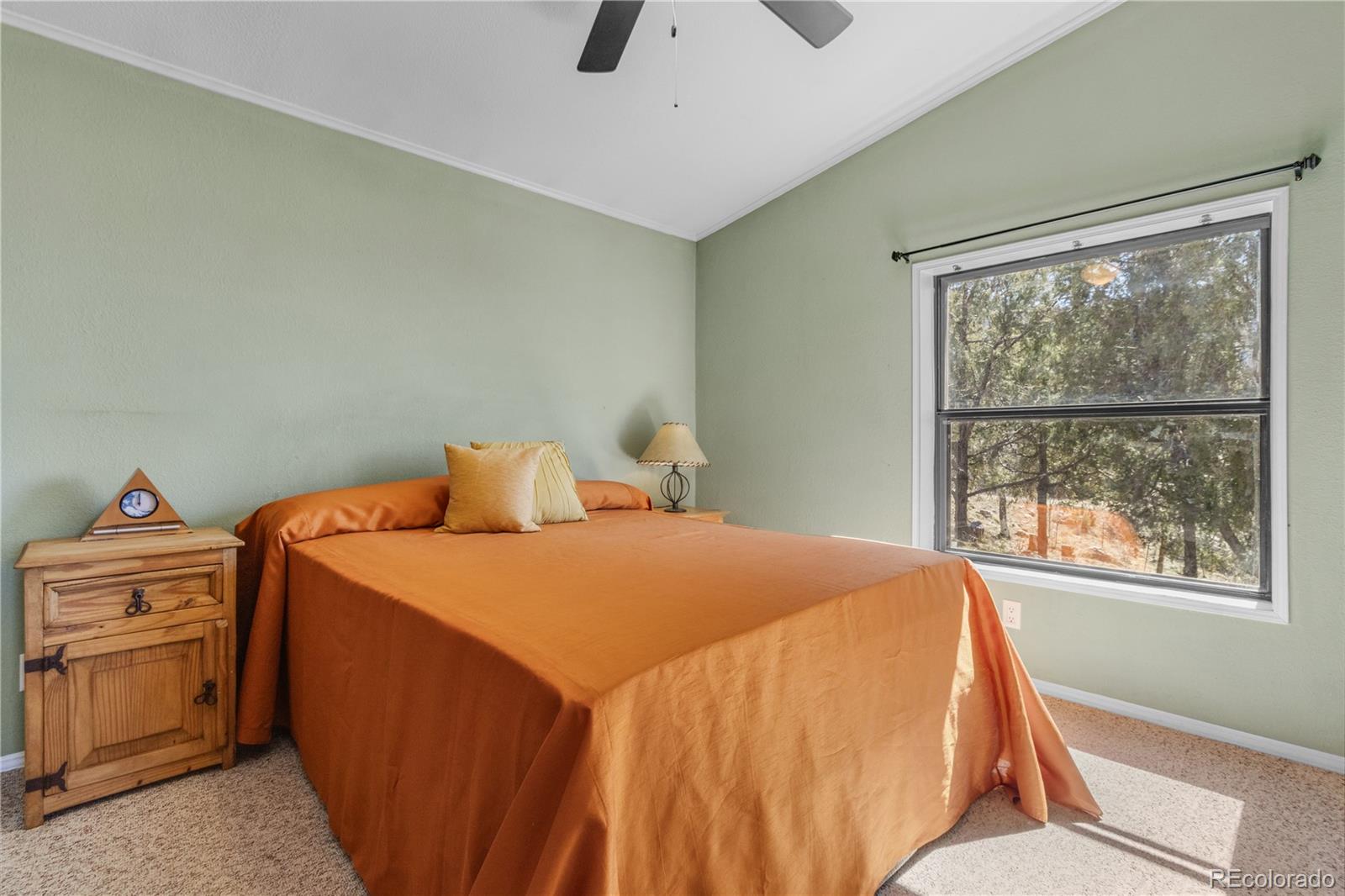 MLS Image #26 for 557  panorama way,crestone, Colorado