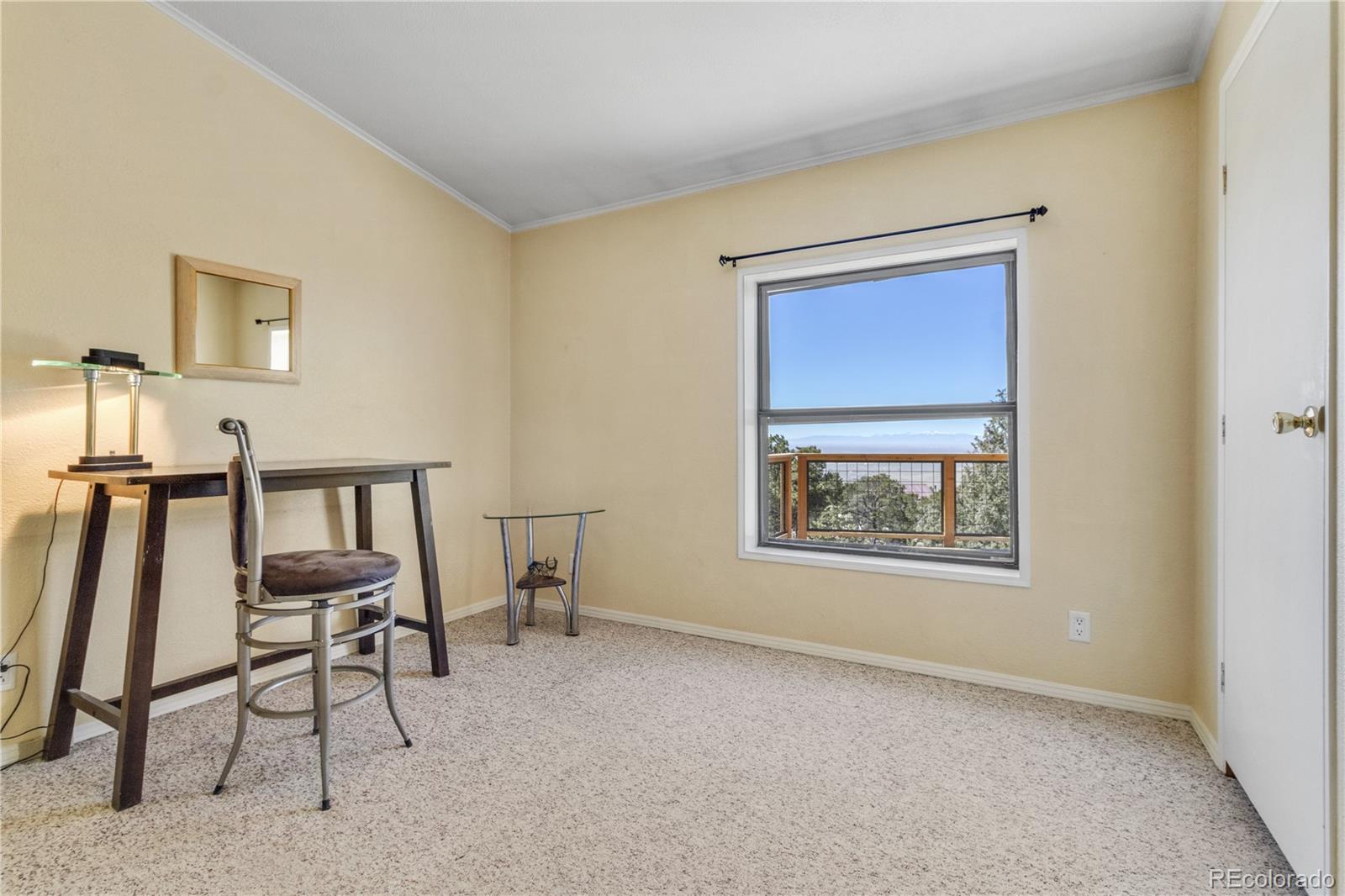 MLS Image #27 for 557  panorama way,crestone, Colorado