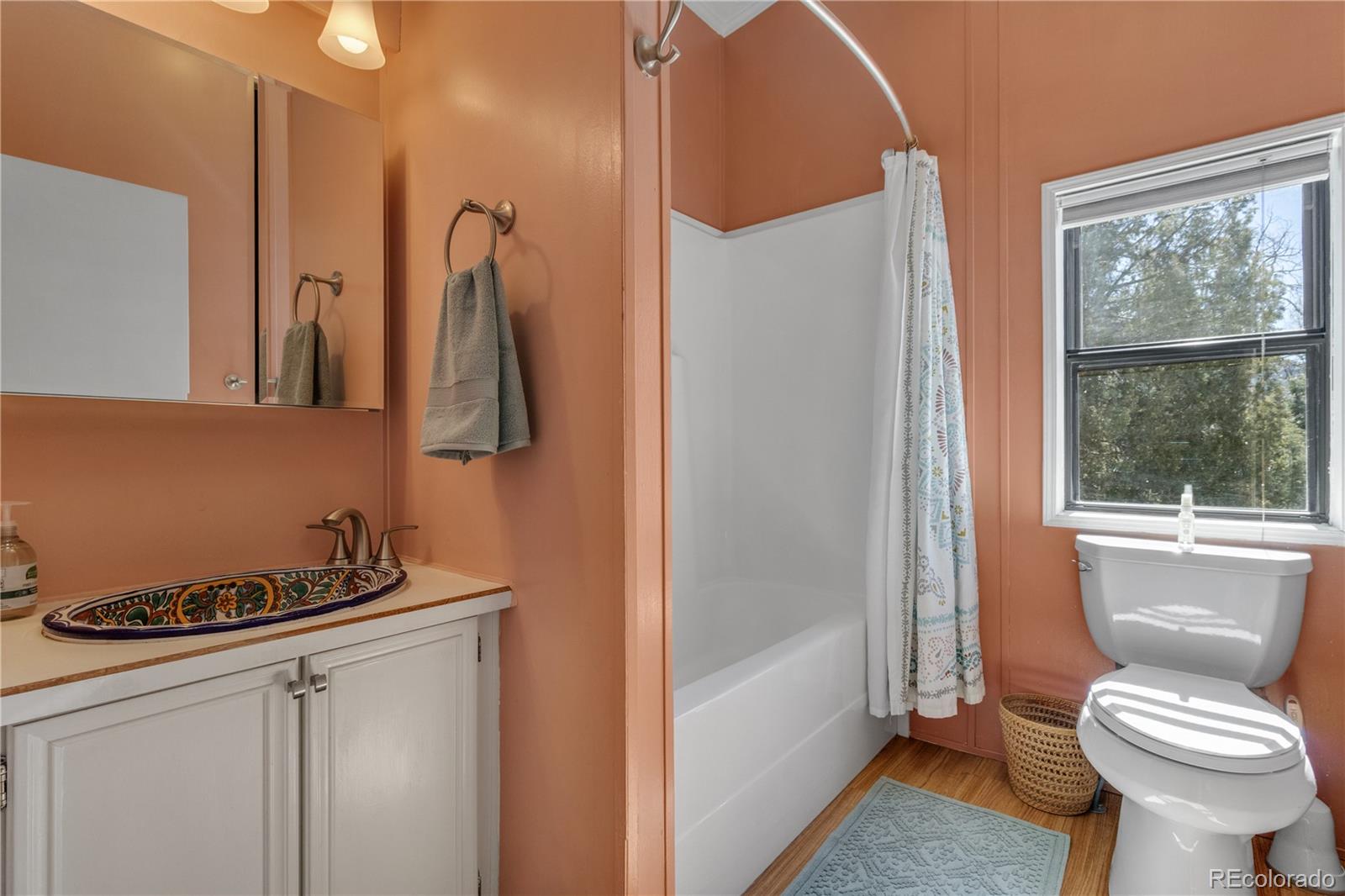 MLS Image #28 for 557  panorama way,crestone, Colorado