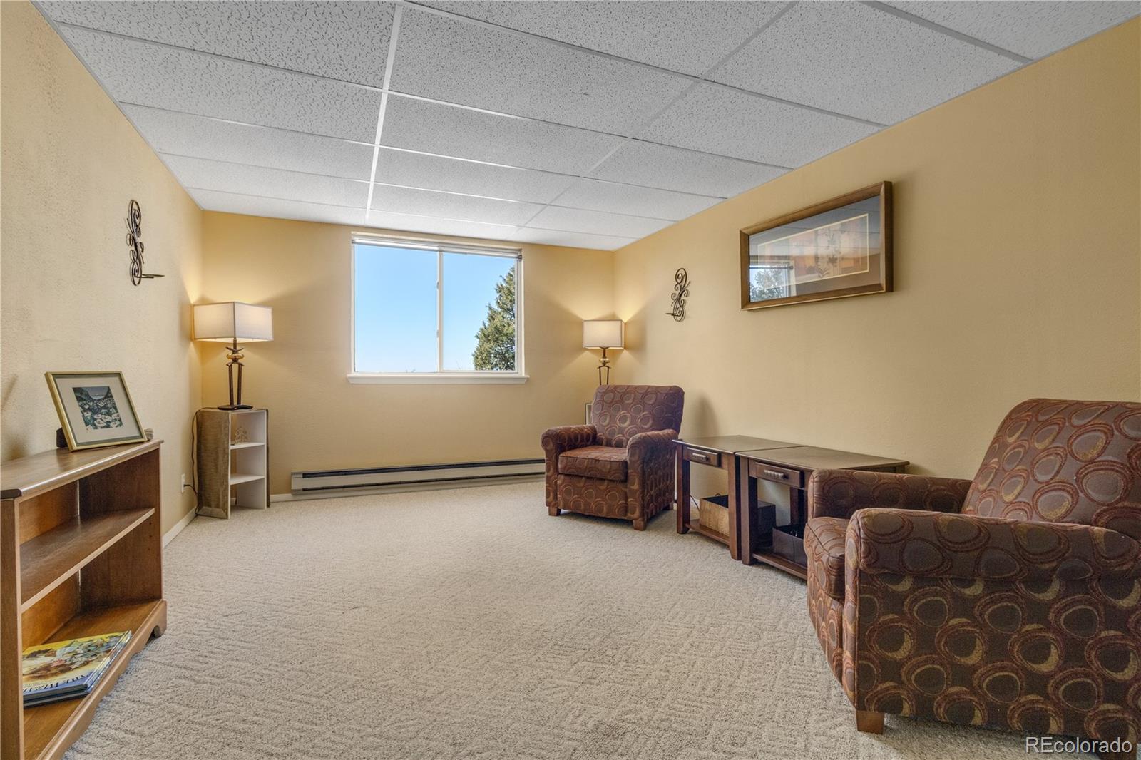 MLS Image #36 for 557  panorama way,crestone, Colorado
