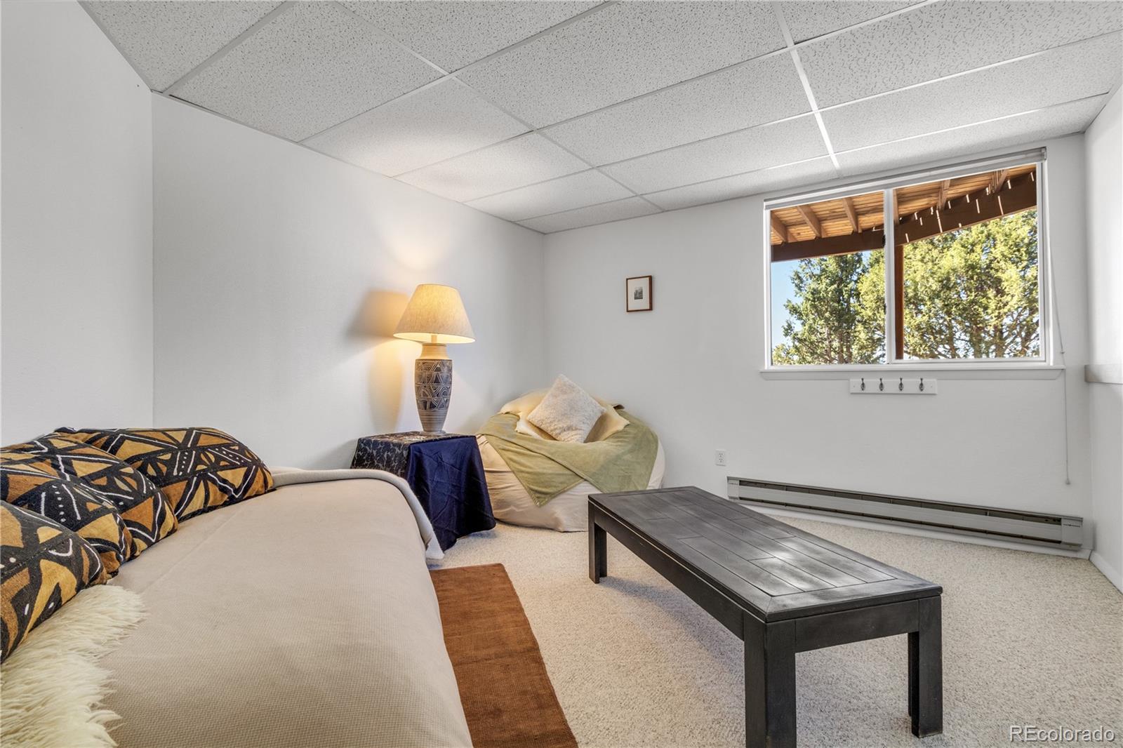 MLS Image #39 for 557  panorama way,crestone, Colorado