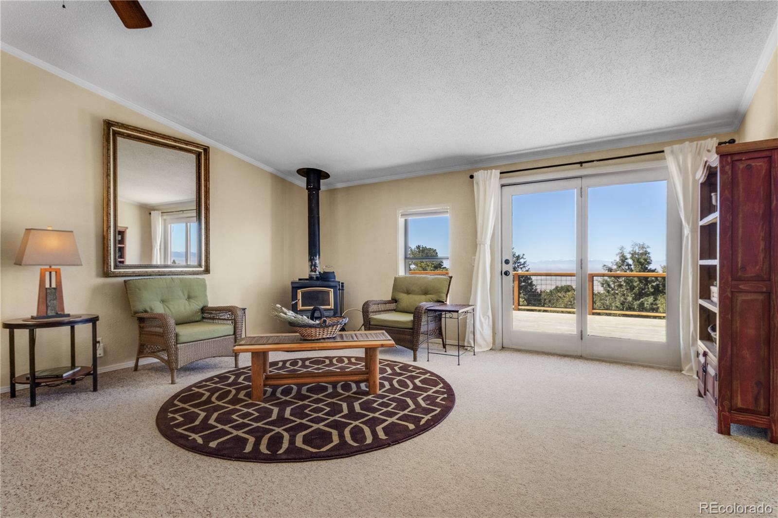 MLS Image #8 for 557  panorama way,crestone, Colorado