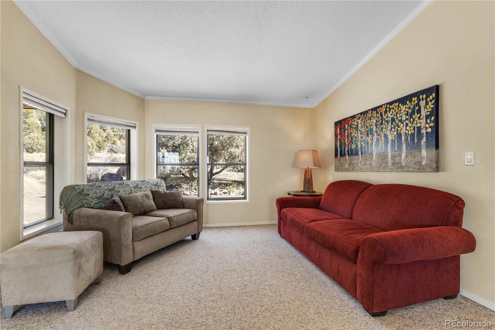 MLS Image #9 for 557  panorama way,crestone, Colorado