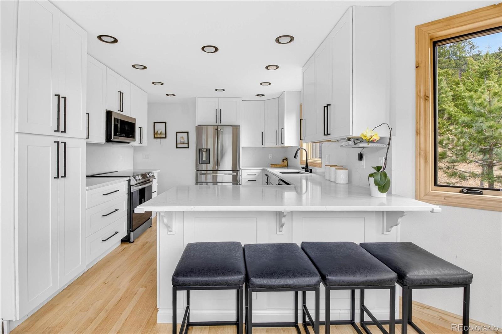 MLS Image #10 for 69  spruce court,evergreen, Colorado