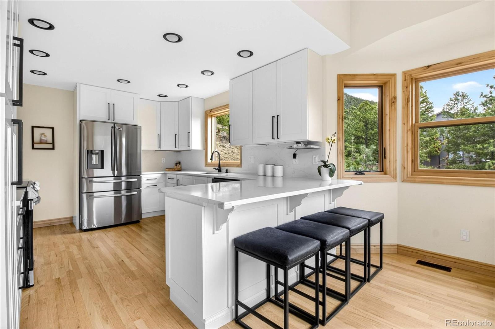 MLS Image #12 for 69  spruce court,evergreen, Colorado