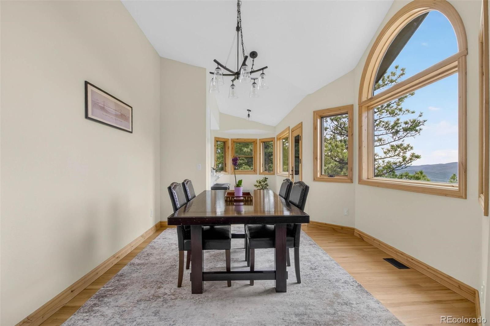 MLS Image #16 for 69  spruce court,evergreen, Colorado