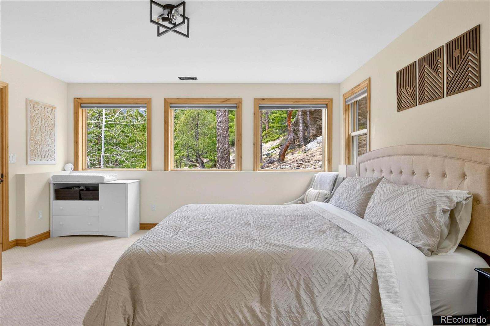 MLS Image #19 for 69  spruce court,evergreen, Colorado
