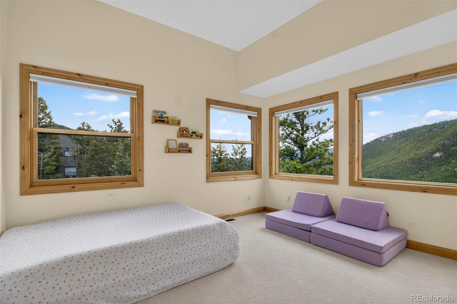 MLS Image #23 for 69  spruce court,evergreen, Colorado