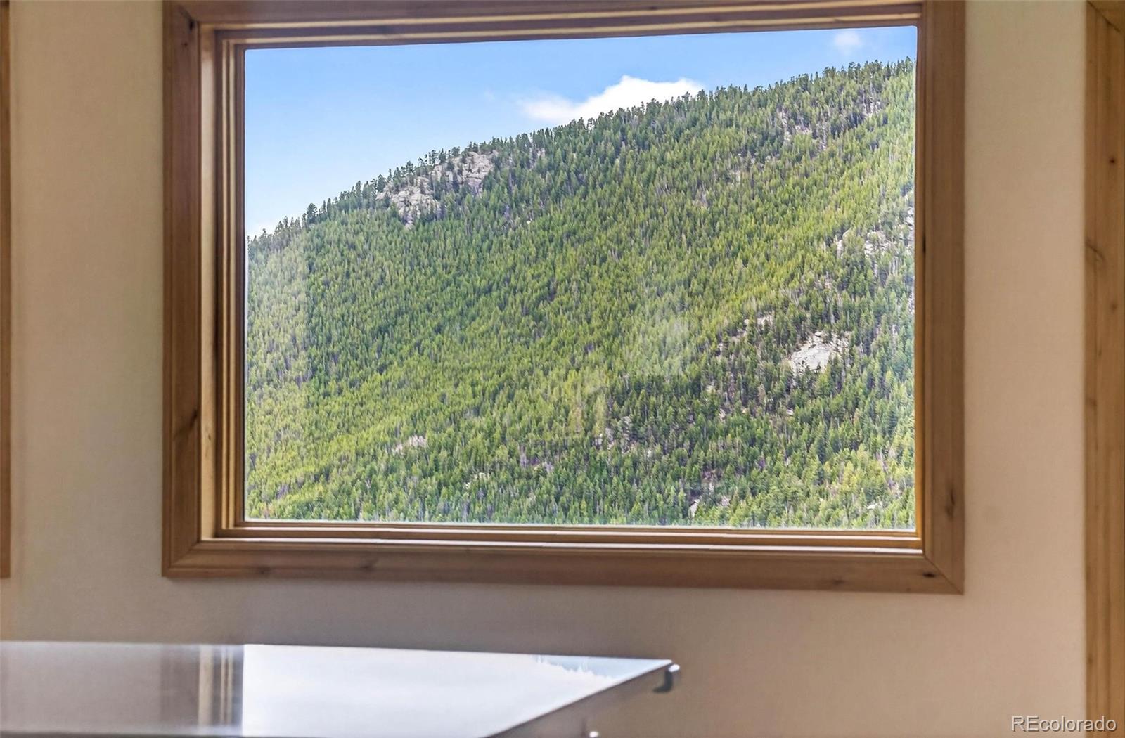 MLS Image #30 for 69  spruce court,evergreen, Colorado