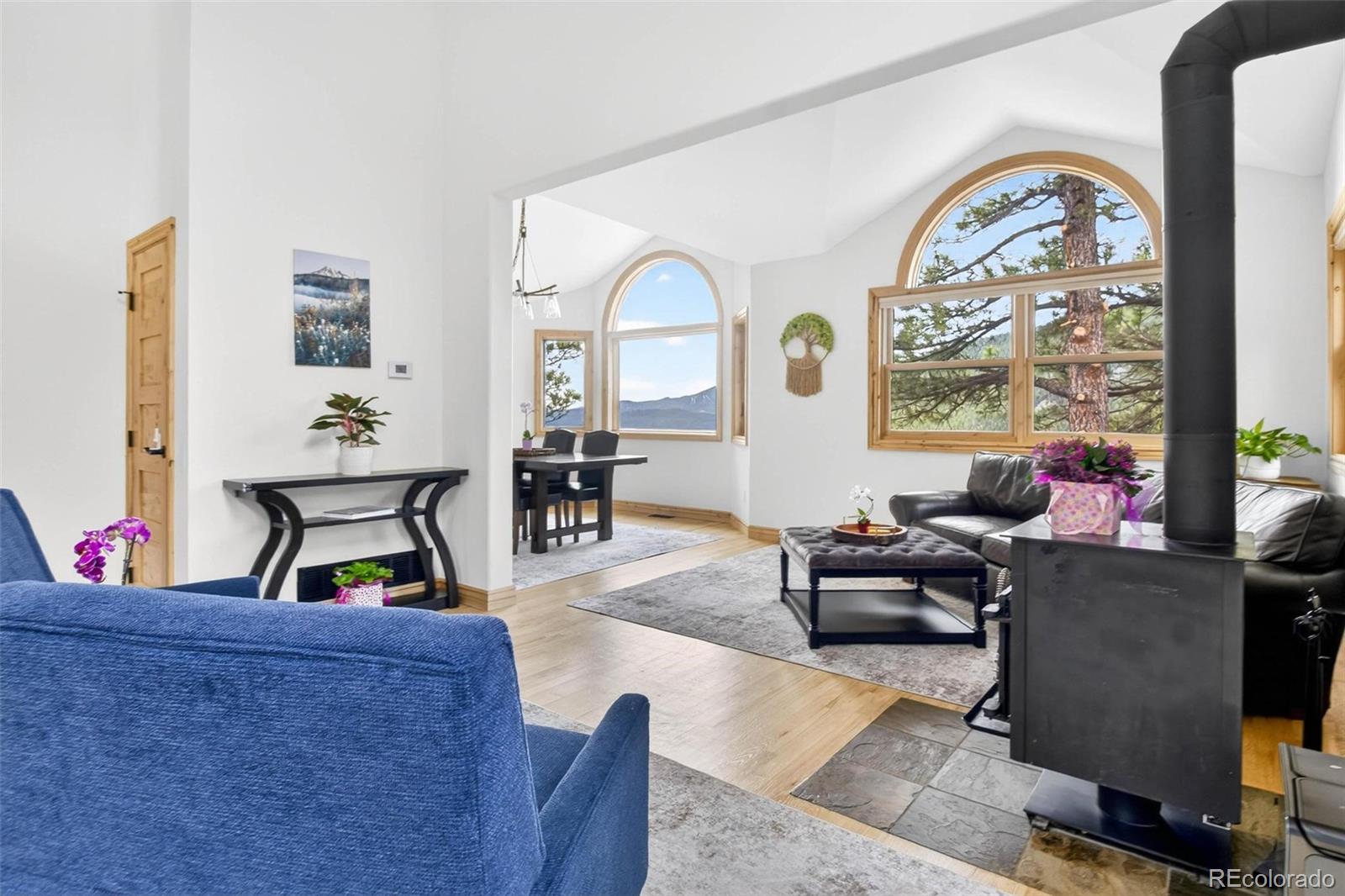 MLS Image #7 for 69  spruce court,evergreen, Colorado