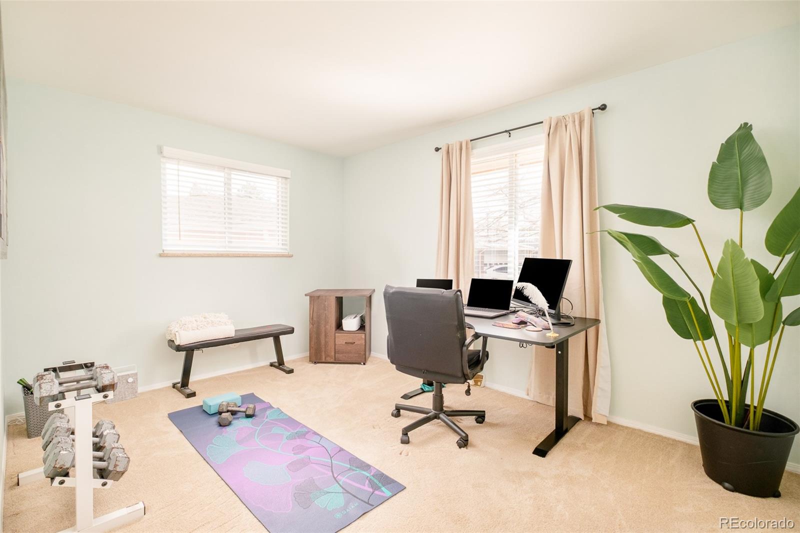 MLS Image #19 for 973 s holland street,lakewood, Colorado