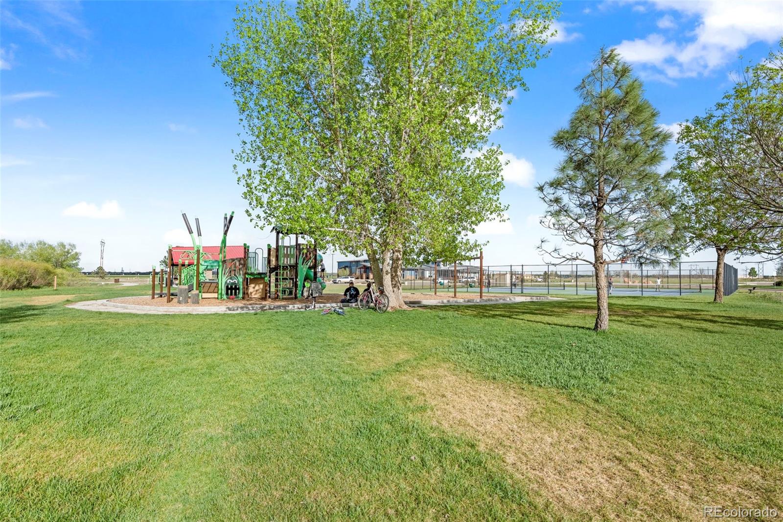 MLS Image #25 for 1323 s harvester drive,milliken, Colorado