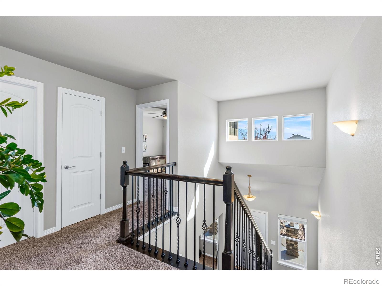 MLS Image #13 for 1828  paley drive,windsor, Colorado